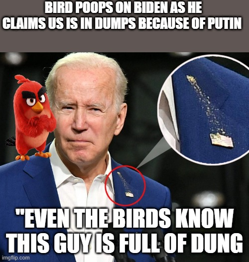 This Bird Speaks For All of America’ | BIRD POOPS ON BIDEN AS HE CLAIMS US IS IN DUMPS BECAUSE OF PUTIN; "EVEN THE BIRDS KNOW THIS GUY IS FULL OF DUNG | image tagged in lets go brandon,politics lol,politics,creepy joe biden,angry bird | made w/ Imgflip meme maker
