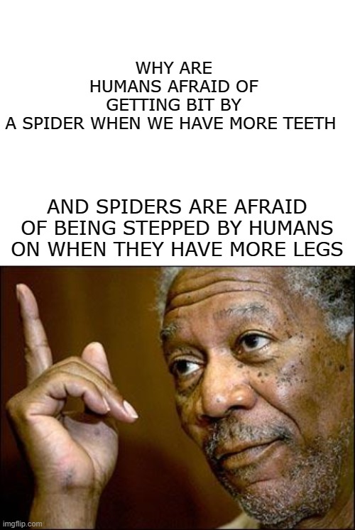  WHY ARE HUMANS AFRAID OF GETTING BIT BY A SPIDER WHEN WE HAVE MORE TEETH; AND SPIDERS ARE AFRAID OF BEING STEPPED BY HUMANS ON WHEN THEY HAVE MORE LEGS | image tagged in blank white template,this morgan freeman,facts,spider,teeth,feet | made w/ Imgflip meme maker