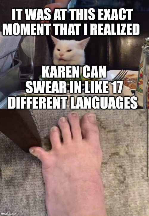  IT WAS AT THIS EXACT MOMENT THAT I REALIZED; KAREN CAN SWEAR IN LIKE 17 DIFFERENT LANGUAGES | image tagged in smudge the cat | made w/ Imgflip meme maker