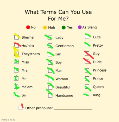 Pronouns Sheet | image tagged in pronouns sheet | made w/ Imgflip meme maker