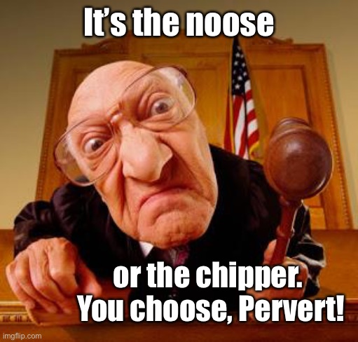 Mean Judge | It’s the noose or the chipper.  You choose, Pervert! | image tagged in mean judge | made w/ Imgflip meme maker