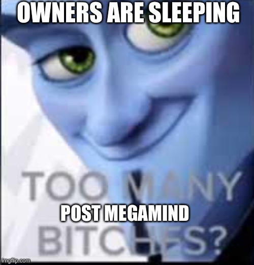 Idk I’m bored | OWNERS ARE SLEEPING; POST MEGAMIND | image tagged in too many bitches | made w/ Imgflip meme maker