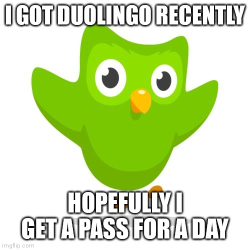 things duolingo teaches you | I GOT DUOLINGO RECENTLY; HOPEFULLY I GET A PASS FOR A DAY | image tagged in things duolingo teaches you | made w/ Imgflip meme maker