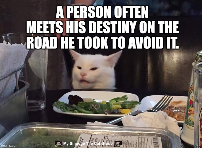  A PERSON OFTEN MEETS HIS DESTINY ON THE ROAD HE TOOK TO AVOID IT. | image tagged in smudge the cat | made w/ Imgflip meme maker
