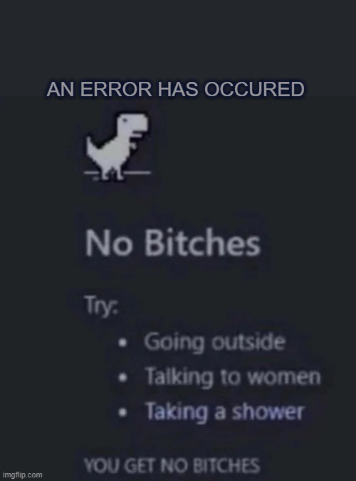 no bitches | AN ERROR HAS OCCURED | image tagged in no bitches | made w/ Imgflip meme maker