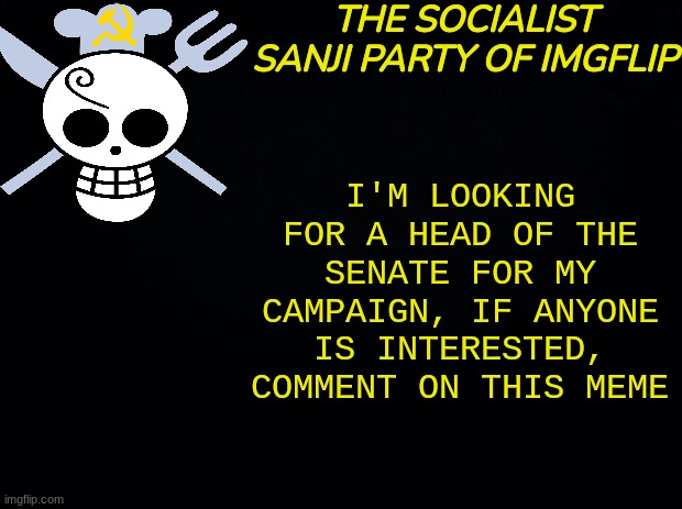 TSSPOI | I'M LOOKING FOR A HEAD OF THE SENATE FOR MY CAMPAIGN, IF ANYONE IS INTERESTED, COMMENT ON THIS MEME | image tagged in tsspoi | made w/ Imgflip meme maker
