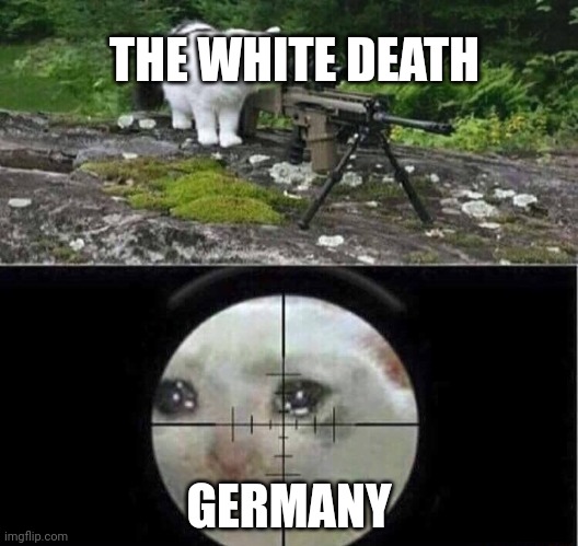 Sniper cat | THE WHITE DEATH GERMANY | image tagged in sniper cat | made w/ Imgflip meme maker