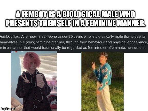 Blank White Template | A FEMBOY IS A BIOLOGICAL MALE WHO PRESENTS THEMSELF IN A FEMININE MANNER. | image tagged in blank white template | made w/ Imgflip meme maker