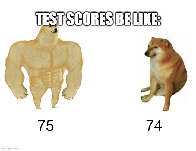 Test Scores | TEST SCORES BE LIKE:; 75; 74 | image tagged in memes,buff doge vs cheems | made w/ Imgflip meme maker