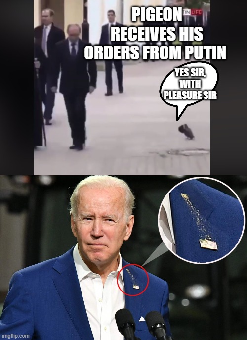 Mission accomplished  FJB | PIGEON RECEIVES HIS ORDERS FROM PUTIN; YES SIR, WITH PLEASURE SIR | made w/ Imgflip meme maker