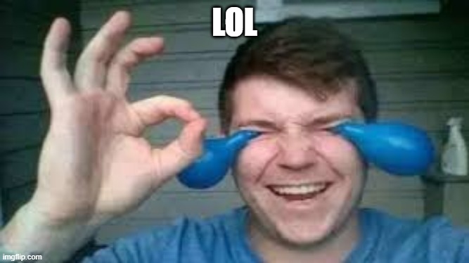 DA FUNNI | LOL | image tagged in lol da funni | made w/ Imgflip meme maker
