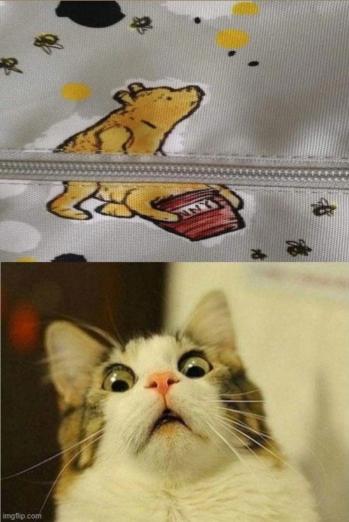 image tagged in what the heck cat,design fails,winnie the pooh | made w/ Imgflip meme maker