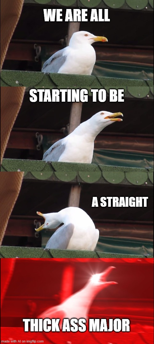 Inhaling Seagull | WE ARE ALL; STARTING TO BE; A STRAIGHT; THICK ASS MAJOR | image tagged in memes,inhaling seagull | made w/ Imgflip meme maker