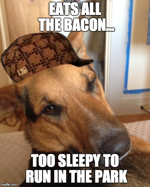 EATS ALL THE BACON... TOO SLEEPY TO RUN IN THE PARK | image tagged in scumbag | made w/ Imgflip meme maker
