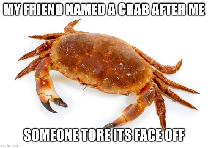 Crabz be like: | MY FRIEND NAMED A CRAB AFTER ME; SOMEONE TORE ITS FACE OFF | image tagged in crabz be like | made w/ Imgflip meme maker