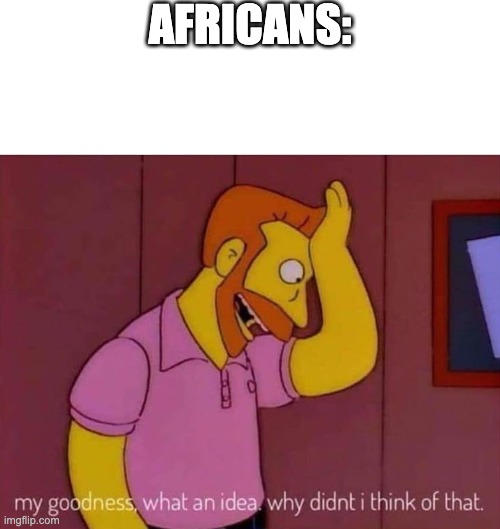 my goodness what an idea why didn't I think of that | AFRICANS: | image tagged in my goodness what an idea why didn't i think of that | made w/ Imgflip meme maker