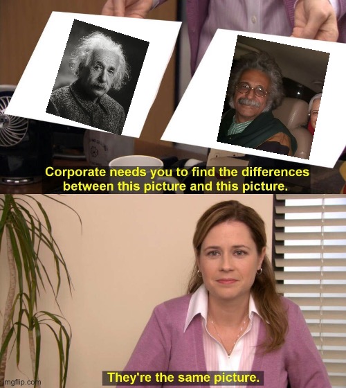 Professors think and look the same it seems | image tagged in they are the same picture,funny memes,albert einstein | made w/ Imgflip meme maker