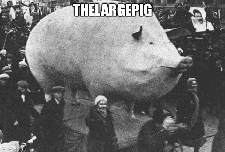 THELARGEPIG | made w/ Imgflip meme maker