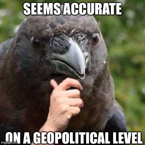 Geopolitics | SEEMS ACCURATE ON A GEOPOLITICAL LEVEL | image tagged in seems accurate,geopolitical | made w/ Imgflip meme maker