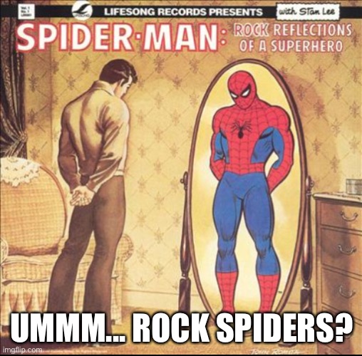 Spider-Man: Rock Reflections of a Superhero | UMMM... ROCK SPIDERS? | image tagged in spider-man rock reflections of a superhero | made w/ Imgflip meme maker