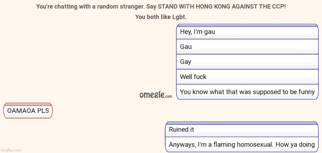 I am having too much fun on omegle | made w/ Imgflip meme maker