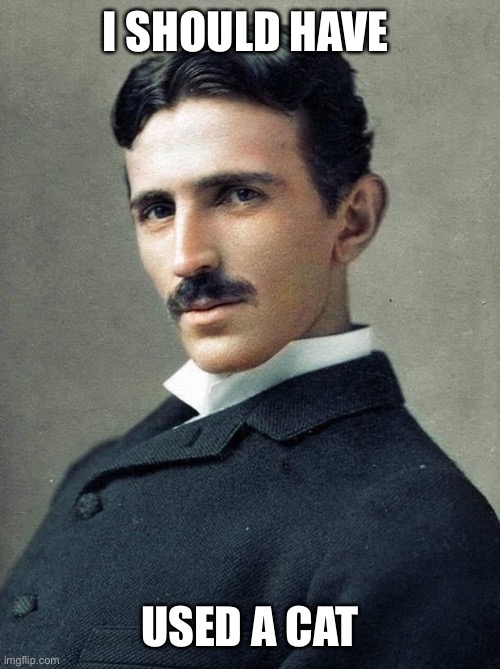 Tesla | I SHOULD HAVE USED A CAT | image tagged in tesla | made w/ Imgflip meme maker