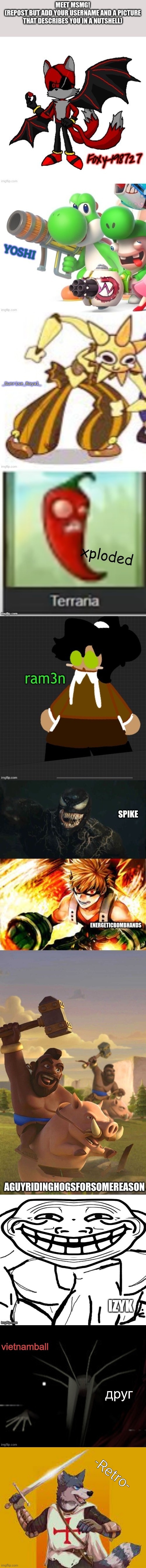Le fursader | -Retro- | image tagged in furry crusader,repost | made w/ Imgflip meme maker