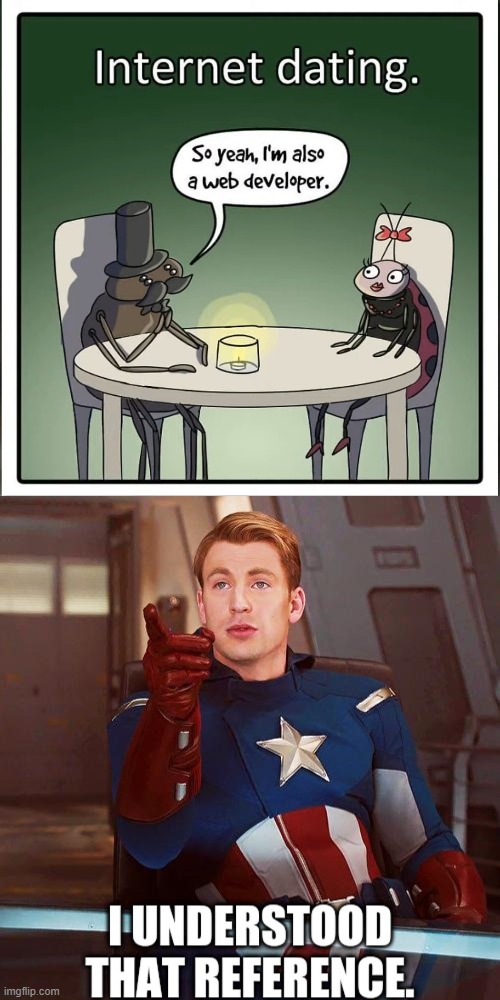 it's a bug | image tagged in captain america i understood that reference | made w/ Imgflip meme maker