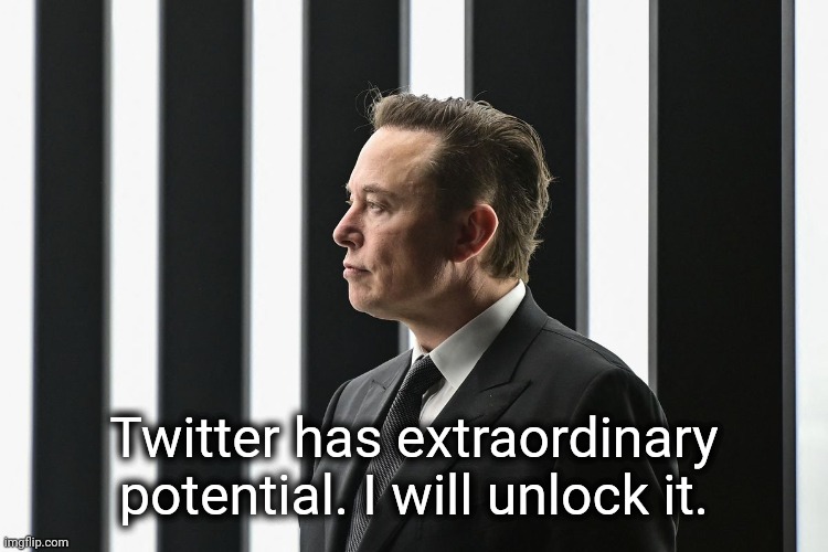 Musk offer | Twitter has extraordinary potential. I will unlock it. | image tagged in elon musk | made w/ Imgflip meme maker