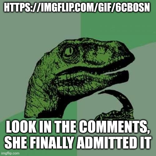 :skull: | HTTPS://IMGFLIP.COM/GIF/6CBOSN; LOOK IN THE COMMENTS, SHE FINALLY ADMITTED IT | image tagged in memes,philosoraptor | made w/ Imgflip meme maker