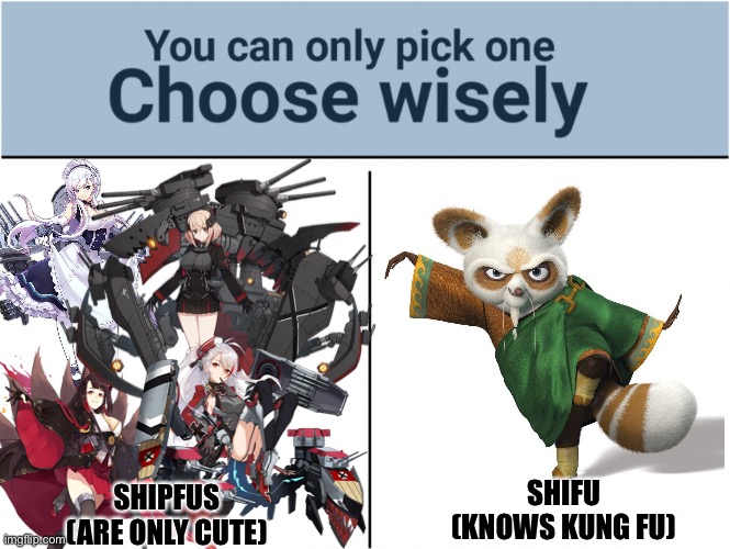 you can pick only one choose wisely | SHIFU
(KNOWS KUNG FU); SHIPFUS
(ARE ONLY CUTE) | image tagged in you can pick only one choose wisely,azur lane | made w/ Imgflip meme maker