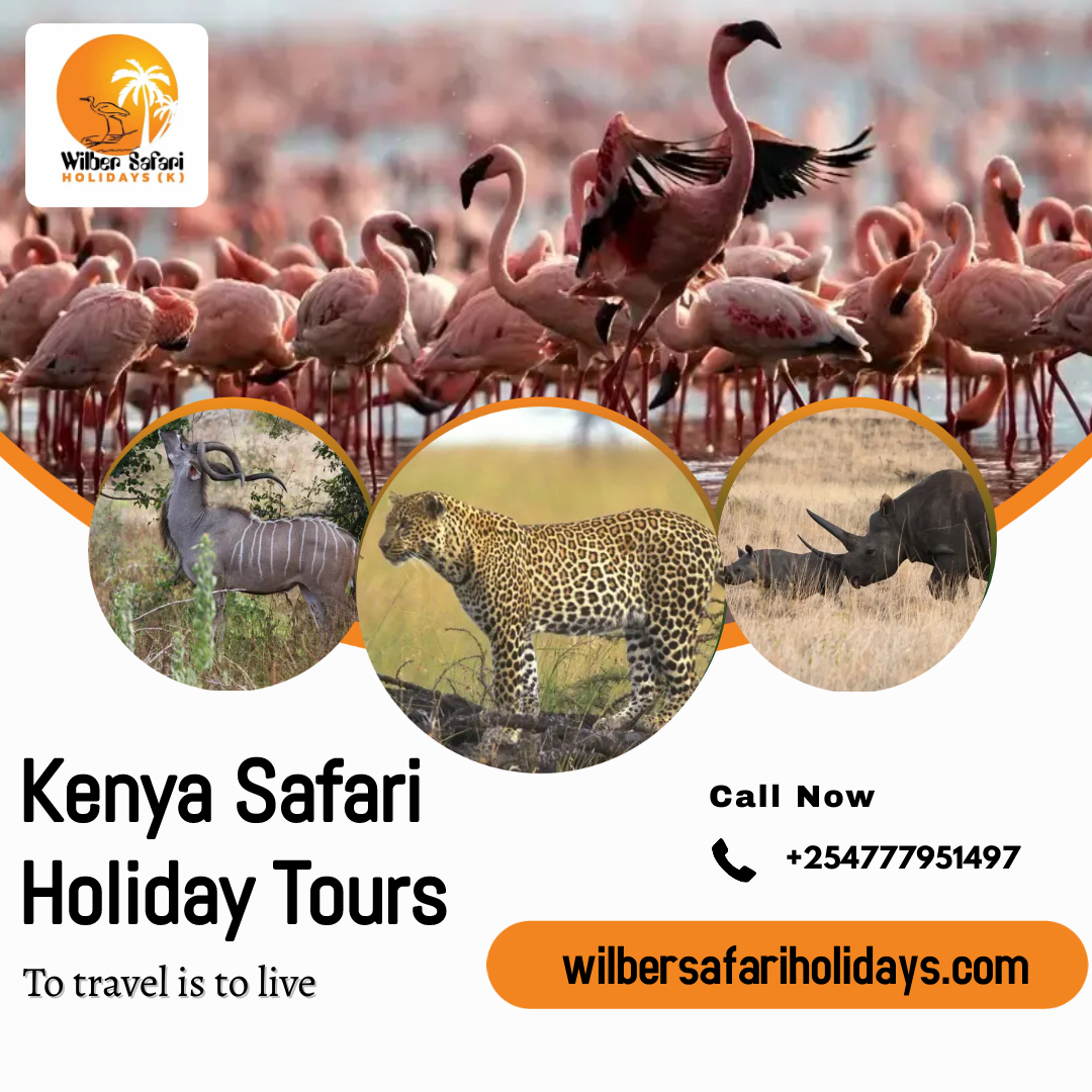 Kenya Safari Holiday Tours Blank Meme Template