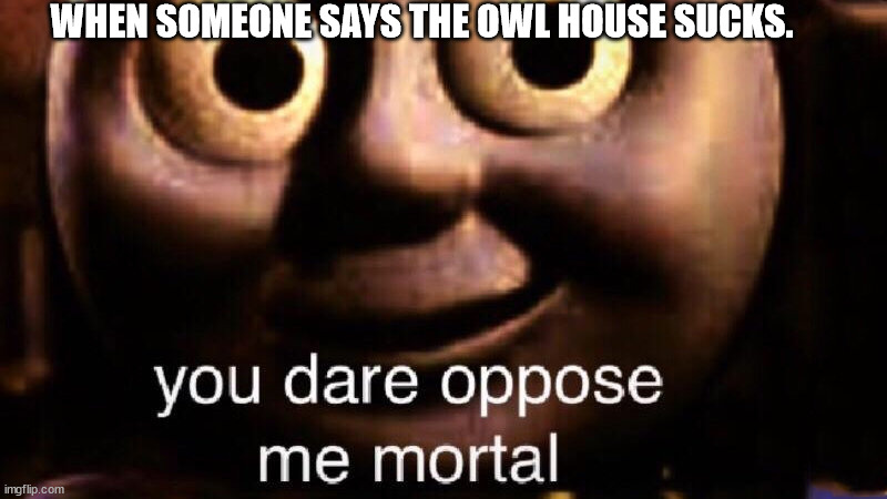 You dare oppose me mortal | WHEN SOMEONE SAYS THE OWL HOUSE SUCKS. | image tagged in you dare oppose me mortal | made w/ Imgflip meme maker