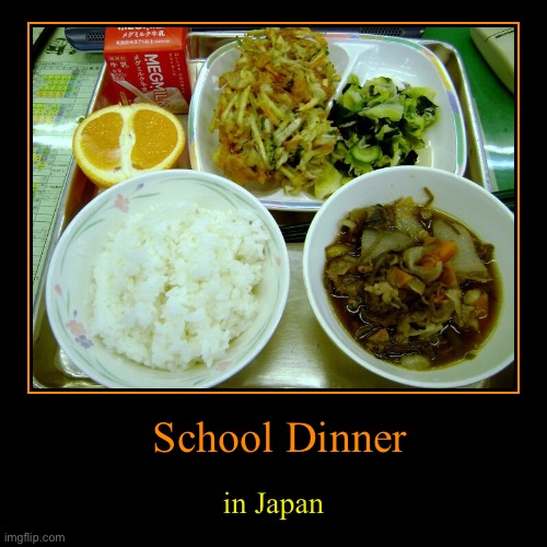 Look’s pretty nice not going to lie | image tagged in demotivationals,food,yummy,enjoy,school dinner,japan | made w/ Imgflip demotivational maker