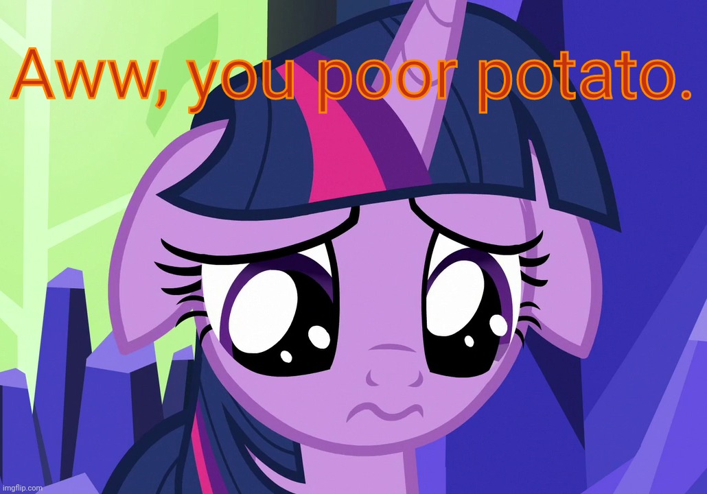 Sad Twilight (MLP) | Aww, you poor potato. | image tagged in sad twilight mlp | made w/ Imgflip meme maker