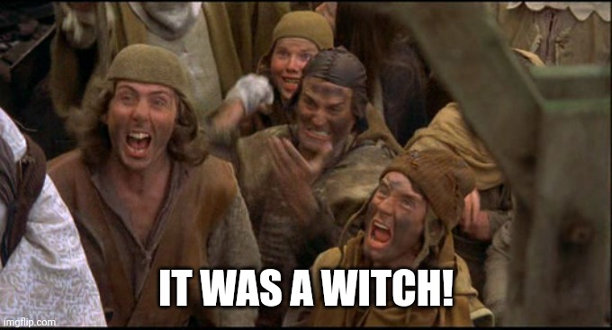 Monty Python witch | IT WAS A WITCH! | image tagged in monty python witch | made w/ Imgflip meme maker