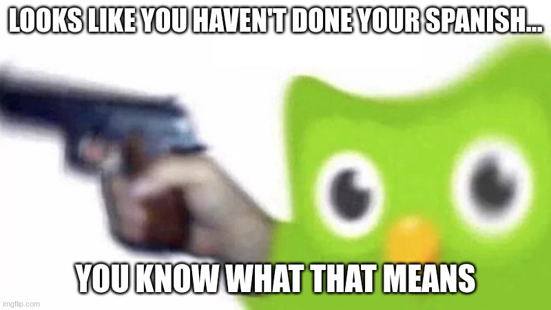 duolingo gun | LOOKS LIKE YOU HAVEN'T DONE YOUR SPANISH... YOU KNOW WHAT THAT MEANS | image tagged in duolingo gun | made w/ Imgflip meme maker