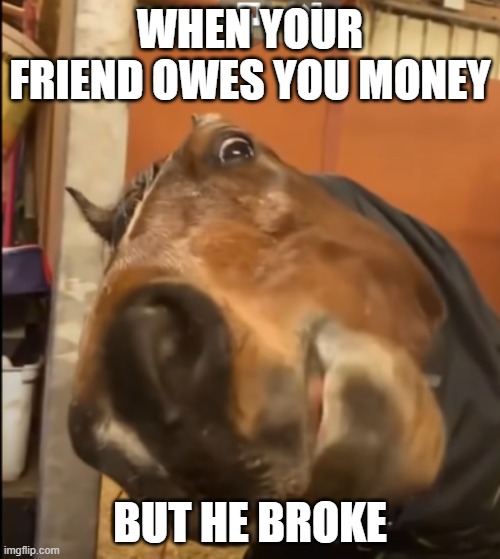 happens all the time | WHEN YOUR FRIEND OWES YOU MONEY; BUT HE BROKE | image tagged in relatable,humor | made w/ Imgflip meme maker