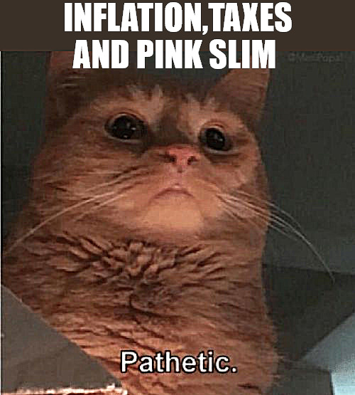 it dont make sense | INFLATION,TAXES AND PINK SLIM | image tagged in pathetic cat | made w/ Imgflip meme maker