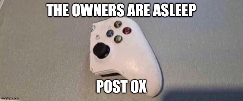 Ox | THE OWNERS ARE ASLEEP; POST OX | image tagged in ox | made w/ Imgflip meme maker