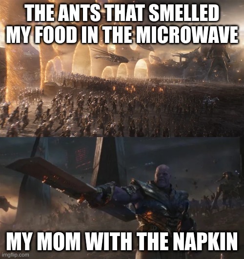 mom vs ants | THE ANTS THAT SMELLED MY FOOD IN THE MICROWAVE; MY MOM WITH THE NAPKIN | image tagged in avengers endgame final battle against thanos,moms | made w/ Imgflip meme maker