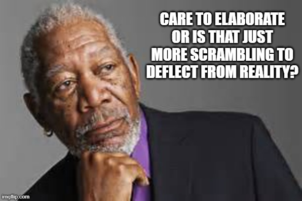 Deep Thoughts By Morgan Freeman  | CARE TO ELABORATE OR IS THAT JUST MORE SCRAMBLING TO DEFLECT FROM REALITY? | image tagged in deep thoughts by morgan freeman | made w/ Imgflip meme maker