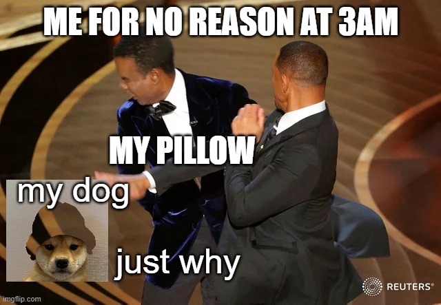 Pillow | ME FOR NO REASON AT 3AM; MY PILLOW; my dog; just why | image tagged in will smith punching chris rock | made w/ Imgflip meme maker