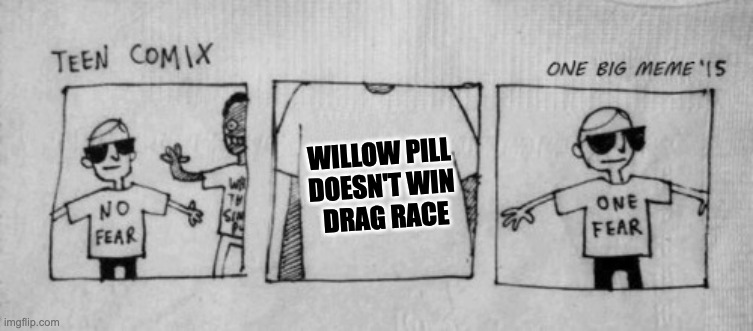 Willow Pill Doesn't Win Ru Paul's Drag Race |  WILLOW PILL 
DOESN'T WIN 
DRAG RACE | image tagged in no fear one fear | made w/ Imgflip meme maker