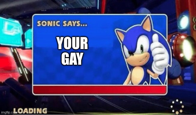 Sonic Says | YOUR
GAY | image tagged in sonic says | made w/ Imgflip meme maker