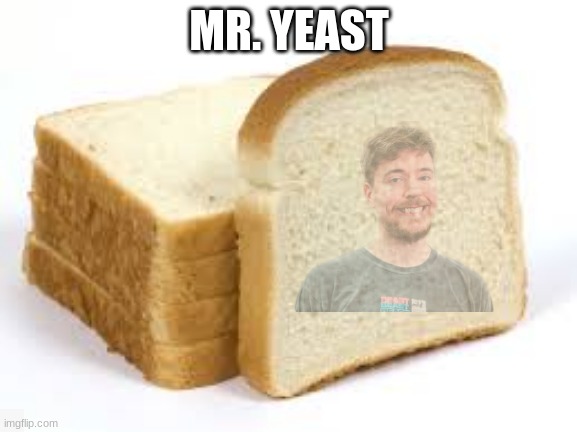 MR. YEAST | image tagged in bread | made w/ Imgflip meme maker