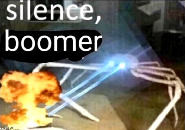 Silence, Boomer | image tagged in silence boomer | made w/ Imgflip meme maker