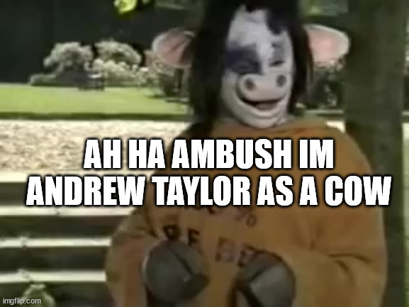 Andrew TAylor | AH HA AMBUSH IM ANDREW TAYLOR AS A COW | image tagged in andrew taylor | made w/ Imgflip meme maker