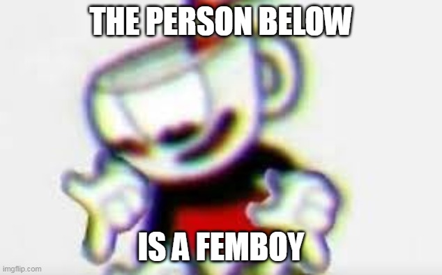 The Person Below is... | THE PERSON BELOW; IS A FEMBOY | image tagged in the person below is | made w/ Imgflip meme maker