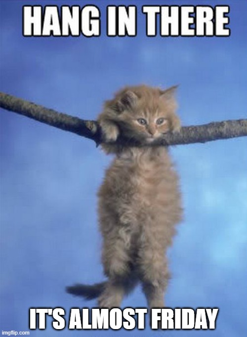 Hang in there Kitty | IT'S ALMOST FRIDAY | image tagged in hang in there kitty | made w/ Imgflip meme maker